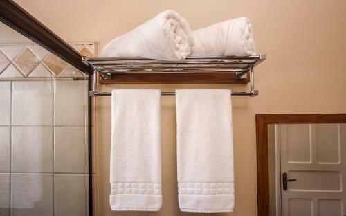 Hotel Gambrinus
