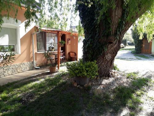Hostal City Camping& Apartman &bungalow