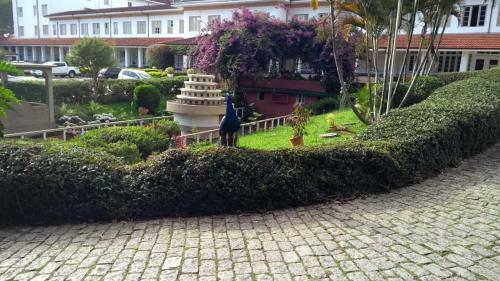 Apartamento Apts No Condominio Quisisana