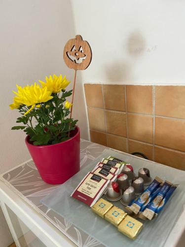 Magnolia Apartman