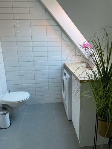 Apartamento Old Design Studio 3