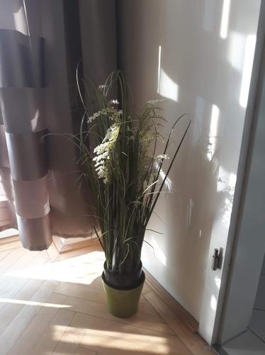 Apartamento S�nd�rg?