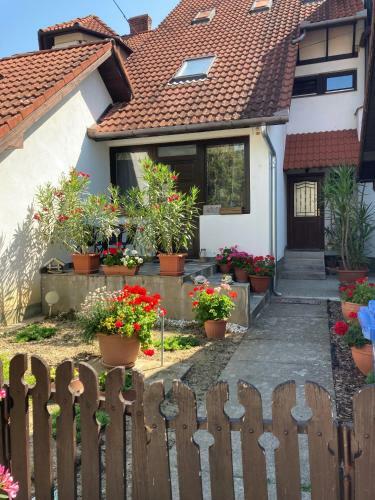 Kiscsillag Apartman