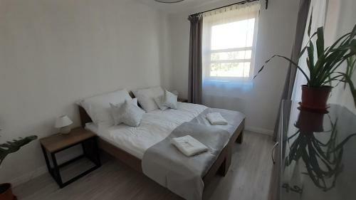B�bic Apartman B