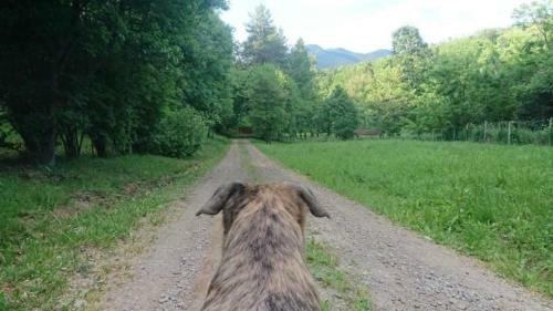Hostal Tavas Vend�gh�z