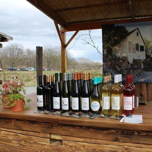 V�r�sbegy Vend�gh�z