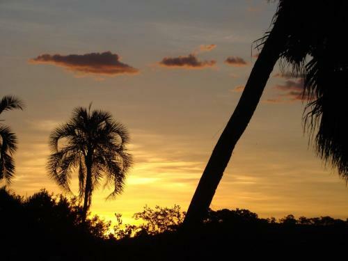 S�tio Despertar