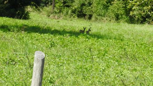 Apartamento Luku Hegyi Pihen?h�z
