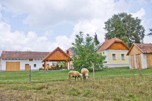 Lodge Harmatcsepp-vend�gh�z