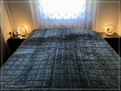 Csi - Pet Apartman