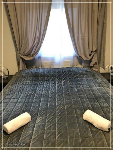 Csi - Pet Apartman