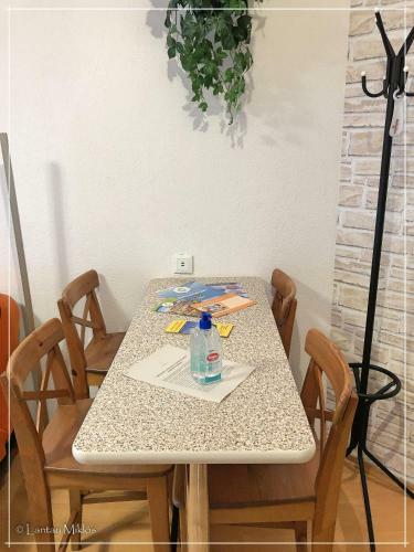 Csi - Pet Apartman