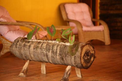 Posada Pousada Recanto Guara