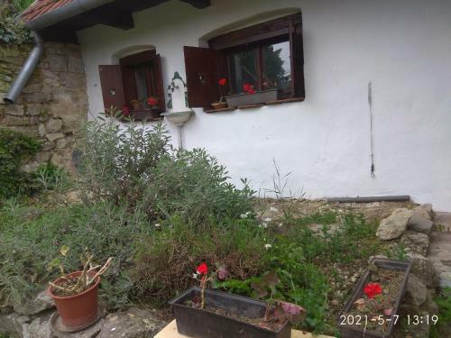 Apartamento Kemenc�s Vend�gh�z