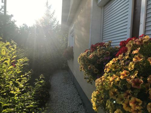 Viharsarki Apartman