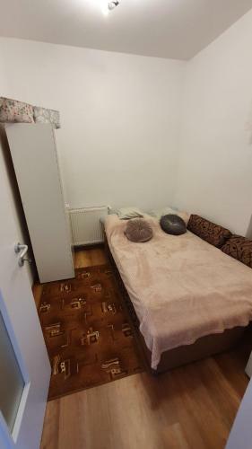 Junior Apartman