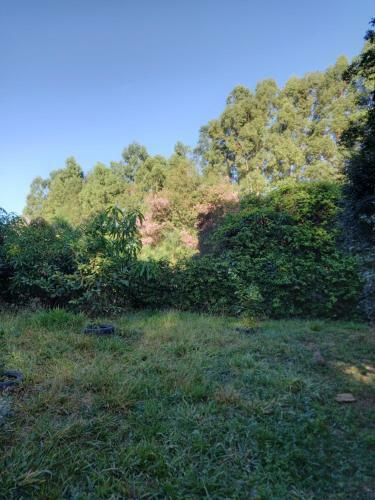 Casa Veredas E Buritis