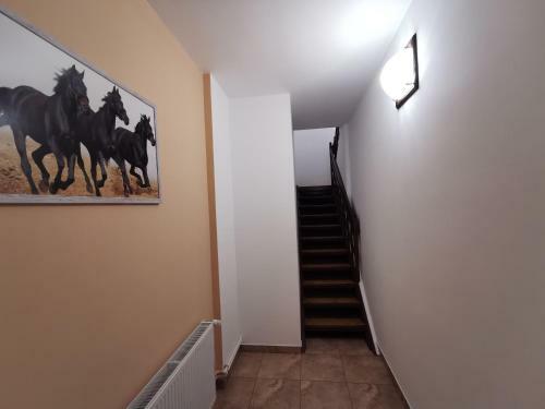 Hostal Ambient Deluxe Apartman