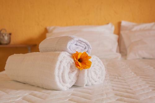 Hostal Pousada Iandara