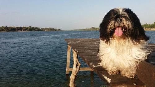Camping Lagoa Do Cass�