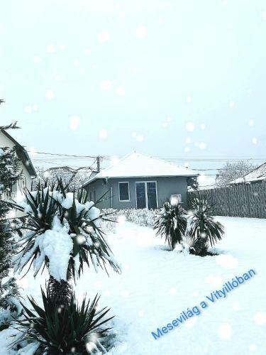 A Vityill� Apartman