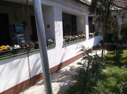 Hostal Vali Vend�gh�z