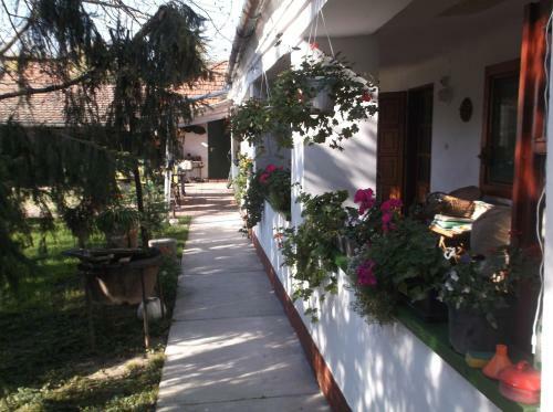 Hostal Vali Vend�gh�z