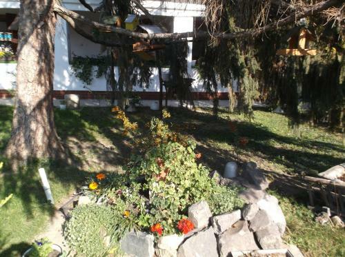 Hostal Vali Vend�gh�z