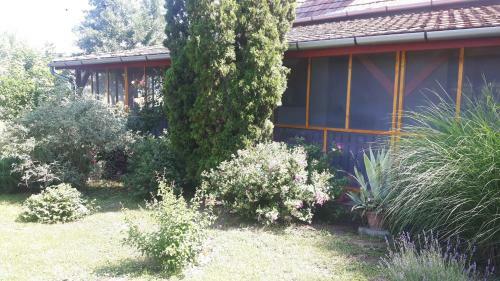 Tiszai V�ndor Apartmanh�z