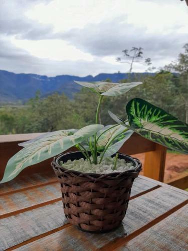 Chal� 2 Morada Da Pedra
