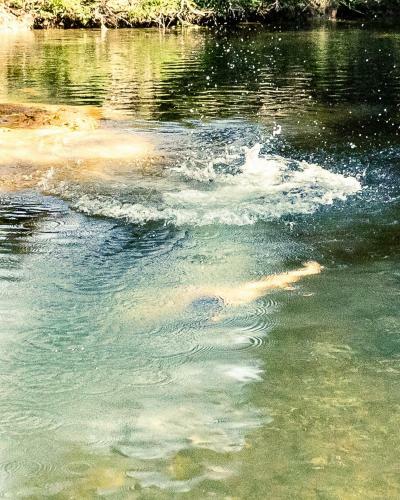 Lodge Chal� Girassol