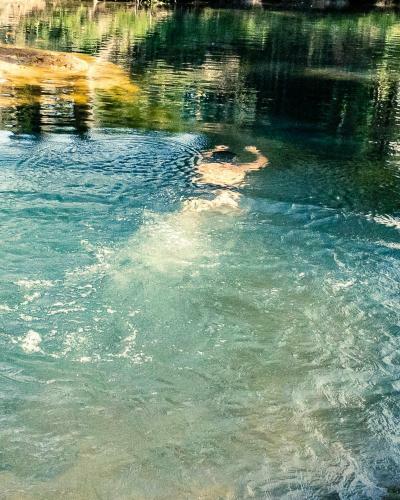 Lodge Chal� Girassol