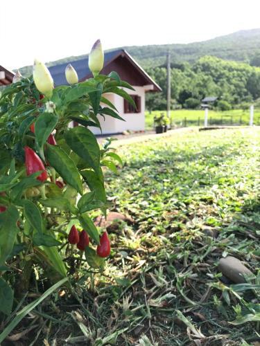 Apartamento Pousada Dos Canyons - Chal� 02