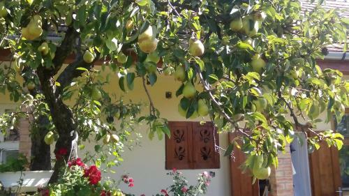 Hostal Bari Tanya
