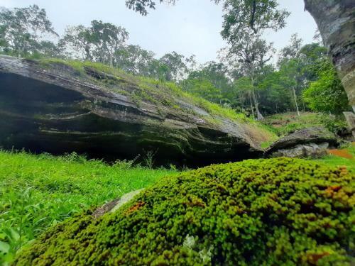 Chal� 1 Morada Da Pedra