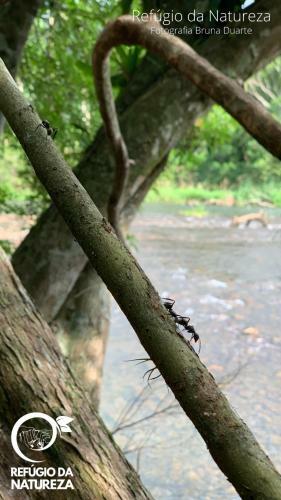 Ref�gio Da Natureza
