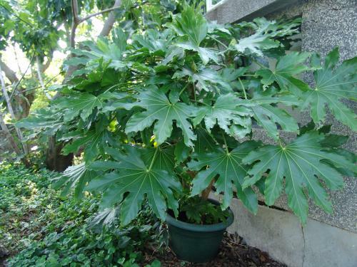 Hostal Sobe Bozica
