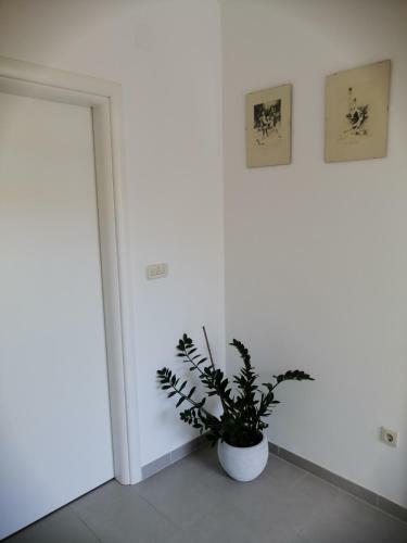 Apartamentos Lina At The Best