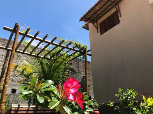 Hotel Espa�o Zap Pipa