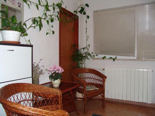 Apartments Bozica