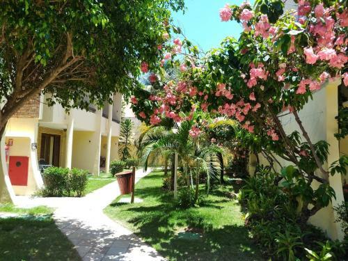 Apartamento Solar De Pipa Duplex Elegance