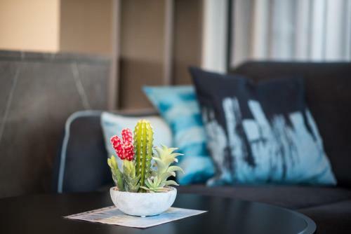 Luxury Apartment Imperia