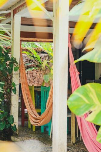 Tropical Hostel