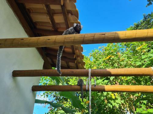 Villa Vila Nirvana Pipa