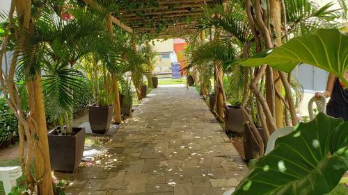 Apartamento Pipa Solar �gua Flat