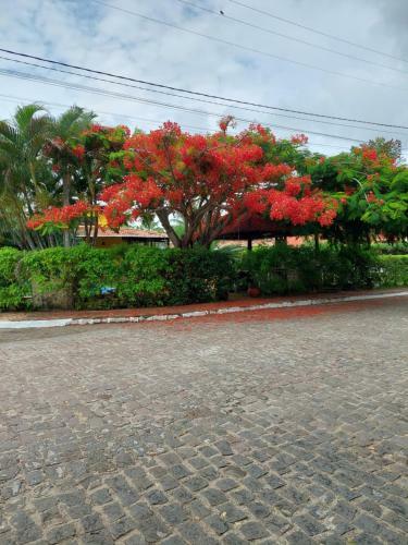 3 Quartos Pipa Natureza E Sossego