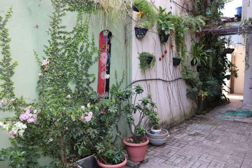 Apartamento Qavi - Casa Aconchegante No Centro de Pipa