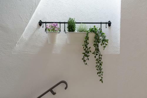 Apartments Bastinica