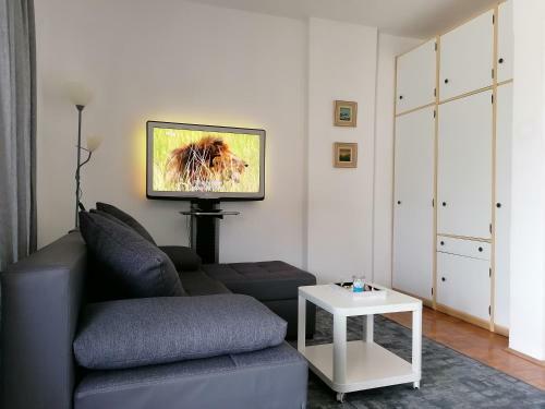 Apartman-maja-krk