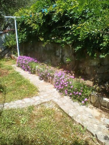Apartman-maja-krk